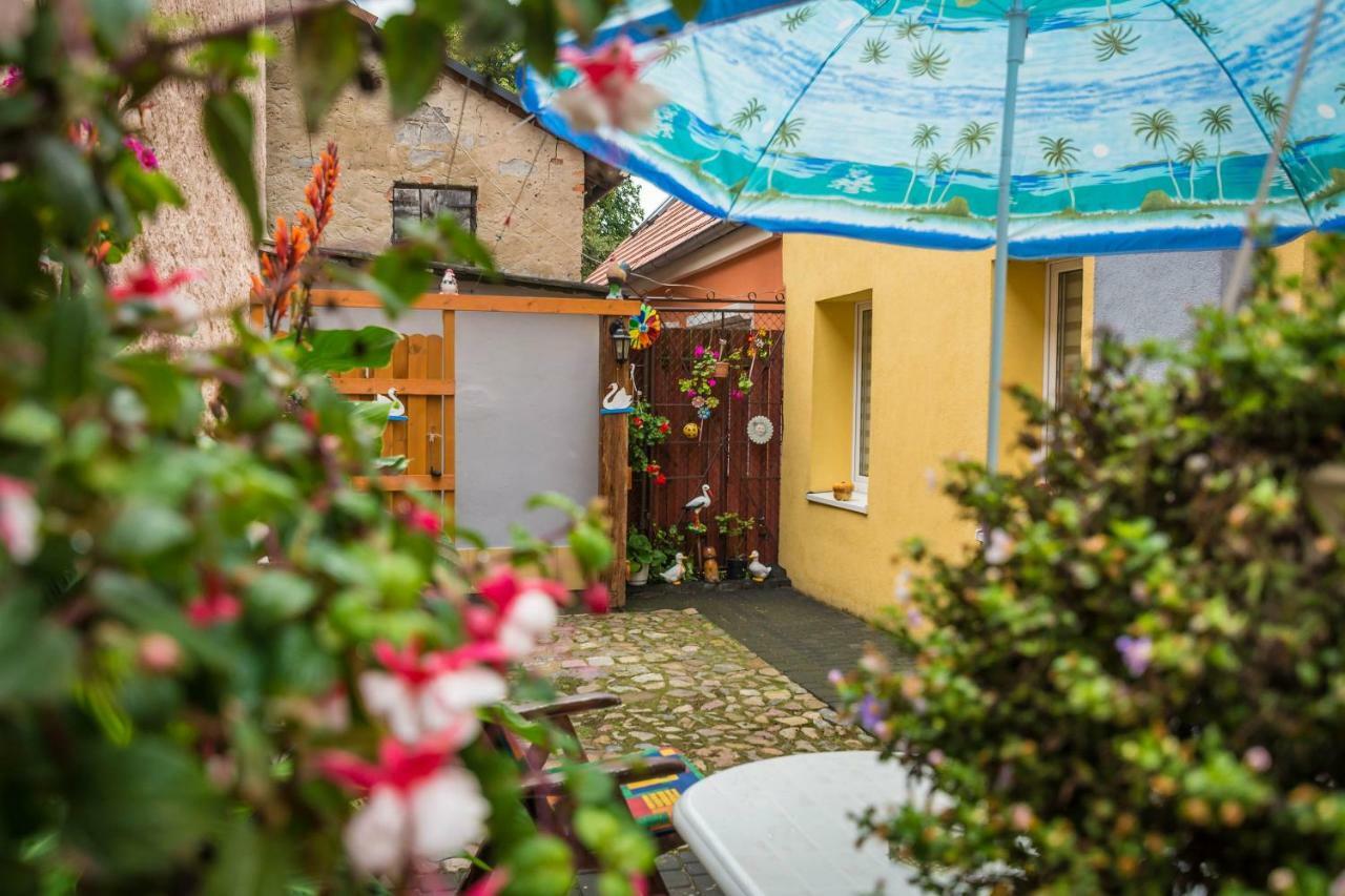 Apartament Cch Chełmno Zewnętrze zdjęcie